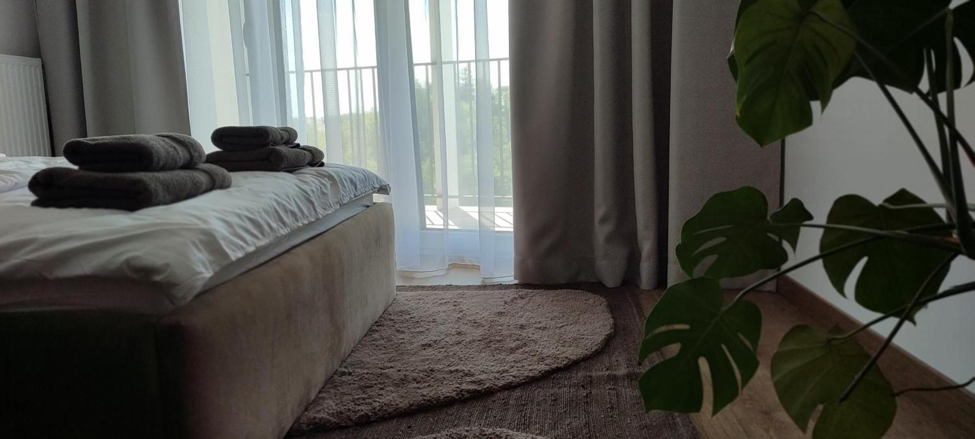 Przy Starowce Apartment